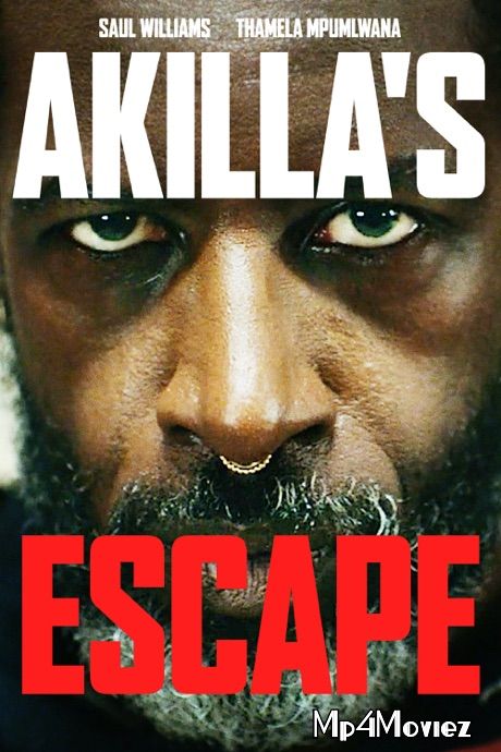 Akillas Escape (2020) Hindi Dubbed WEBRip download full movie