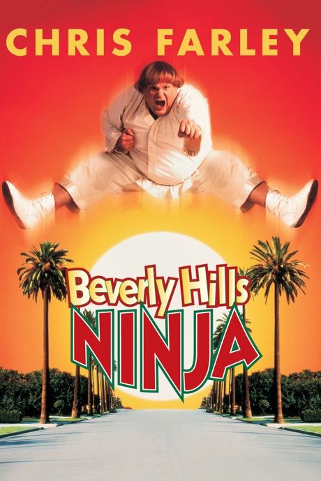 Beverly Hills Ninja (1997) Hindi Dubbed BluRay download full movie