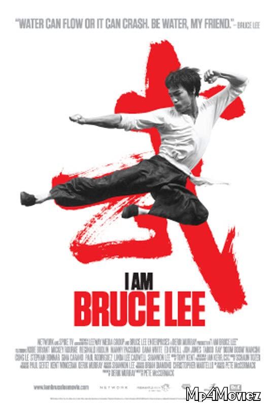 I Am Bruce Lee 2012 Hindi Dubbed Movie download full movie