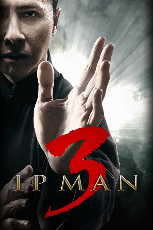Ip Man 3 (2015) Hindi Dubbed BluRay download full movie
