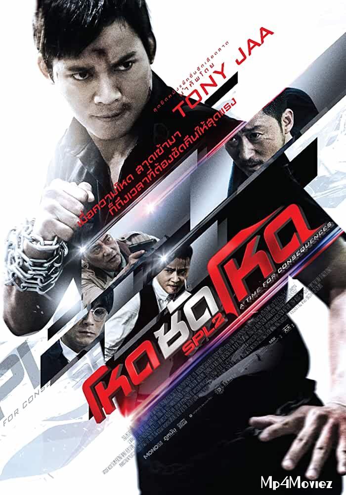 Kill Zone 2 2015 Hindi Dubbed Full Movie download full movie