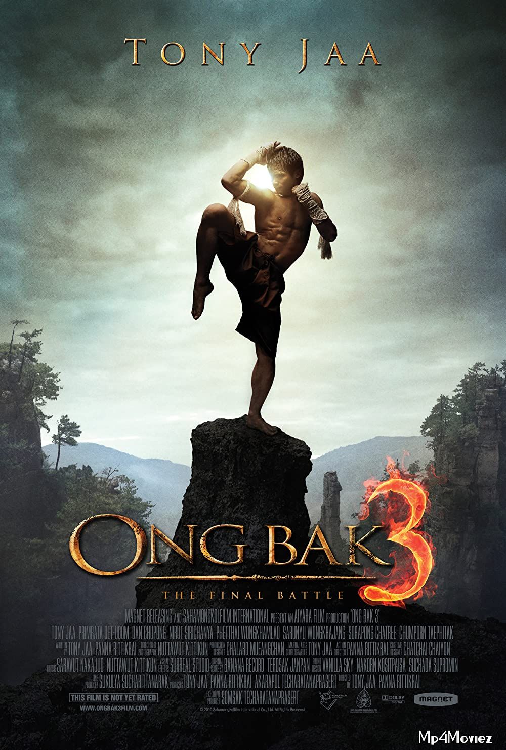 Ong Bak 3 The Finale (2010) Hindi Dubbed BluRay download full movie