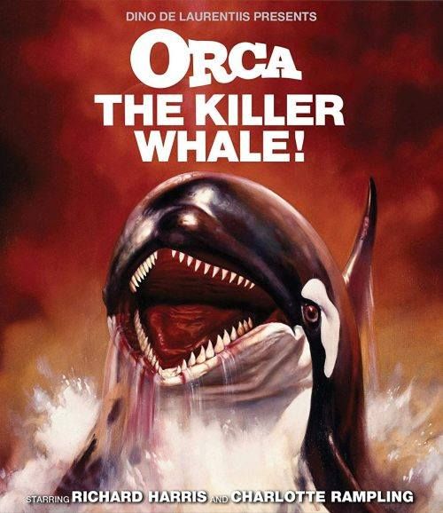 Orca The Killer Whale (1977) Hindi Dubbed BluRay download full movie