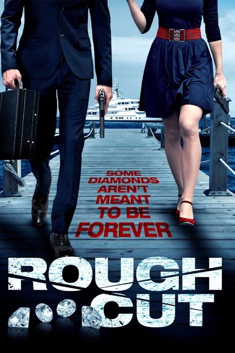 Rough Cut (2008) Hindi Dubbed BluRay download full movie