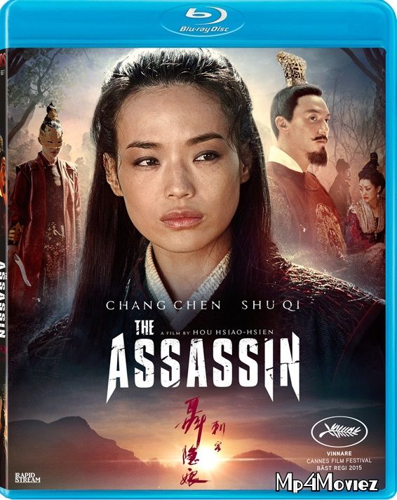 The Assassin (2015) Hindi Dubbed BluRay download full movie