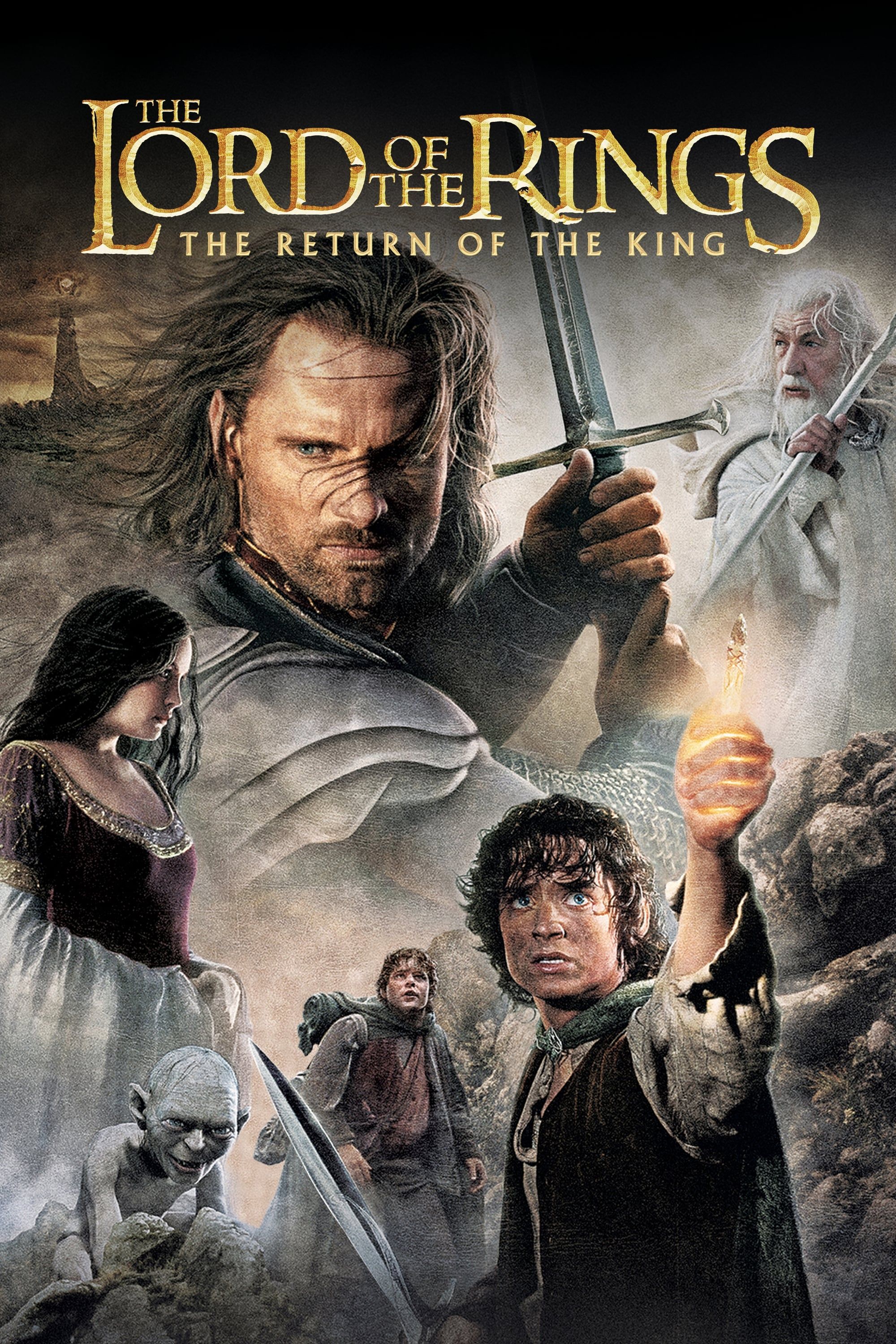 The Lord of the Rings The Return of the King (2003) Hindi Dubbed BluRay download full movie