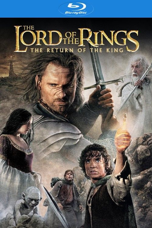 The Lord of the Rings: The Return of the King (2003) Extended Hindi Dubbed Movie Full Movie