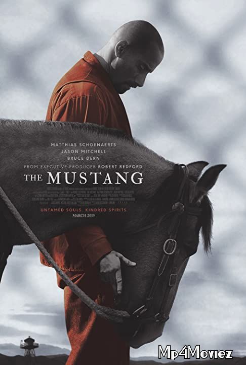 The Mustang (2019) Hindi Dubbed BluRay download full movie