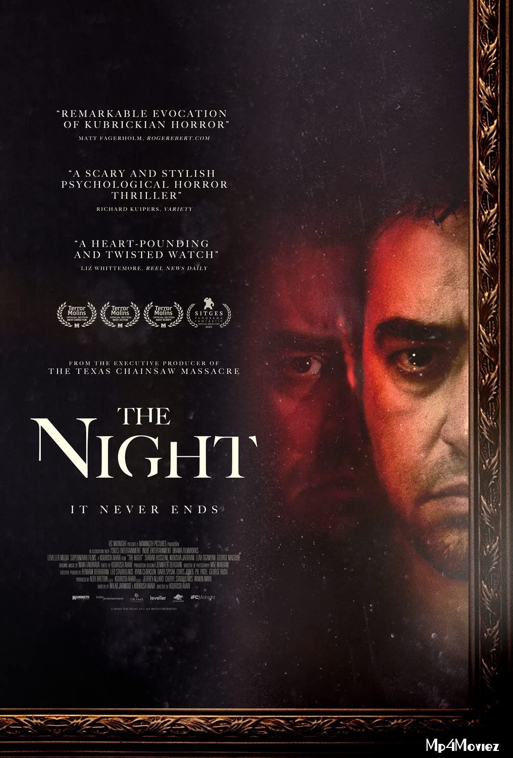 The Night (2020) Hindi (Voice Over) Dubbed WEBRip download full movie