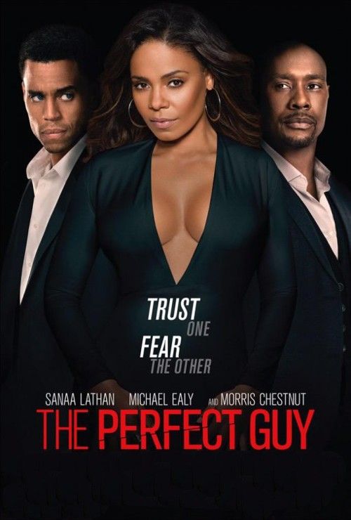The Perfect Guy (2015) Hindi Dubbed Movie download full movie