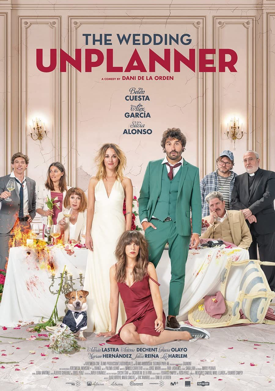 The Wedding Unplanner (2020) Hindi Dubbed BluRay download full movie